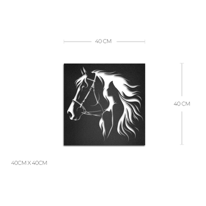 Cuadro decorativo de Metal Caballo y Silueta - Taula